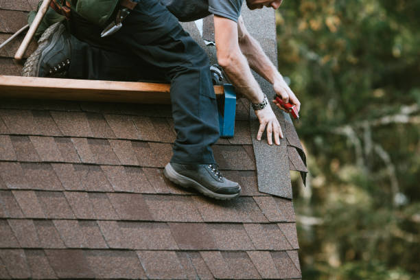 Best Sealant for Roof  in Richmond Hill, GA